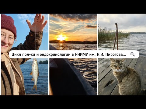 Видео: ВЛОГ РНИМУШНИКА // Карелия, 5 курс, цикл поликлиники и эндокринологии - или затишье перед...