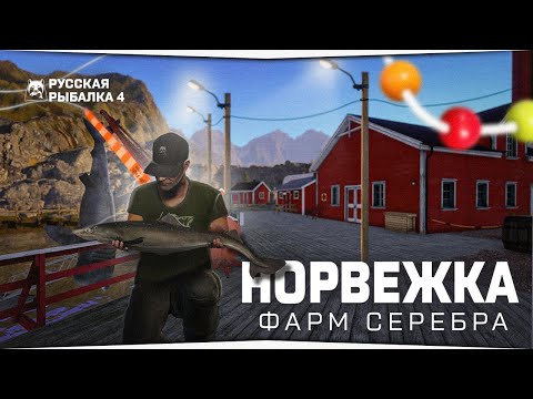 Видео: Норвежское Море • Фарм серебра на мелочи • Русская Рыбалка 4