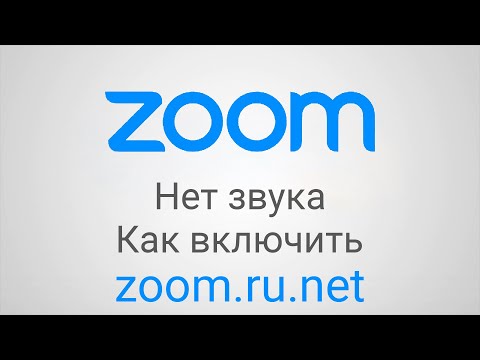 Видео: Нет звука в zoom конференции: как включить на смартфоне андроид и ios