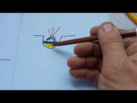 Видео: Саджаємо смороду правильно.