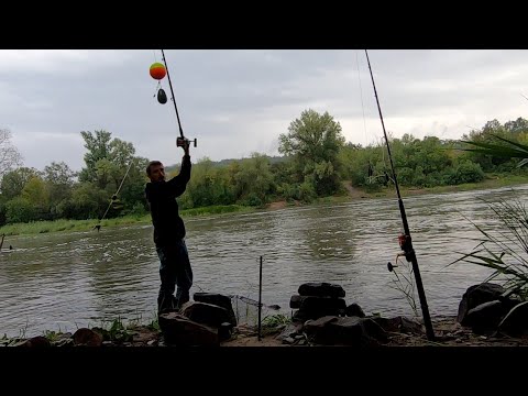 Видео: Рыбалка на сома в непогоду. Ловля сома на выползка и живца с берега