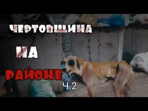 Видео: °•°Чертовщина на районе°•°Конец°•°Страшная история на ночь°•°Gacha life°•°