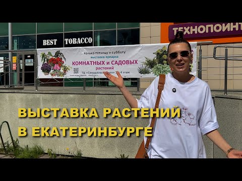 Видео: Как проходит ВЫСТАВКА в ЕКАТЕРИНБУРГЕ/ есть ли в ПРОДАЖЕ ПОПУЛЯРНЫЕ РАСТЕНИЯ?