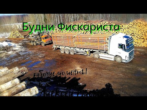 Видео: РАБОЧИЕ БУДНИ НА ВЫВОЗКЕ ЛЕСА!ВСЕ И СРАЗУ