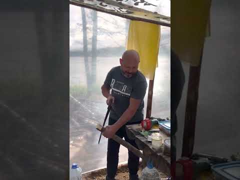 Видео: КАРЕЛИЯ