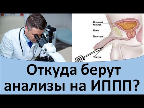 Видео: Откуда берут анализы на ИППП?