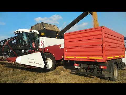 Видео: 10.11.2018. NO TILL! Уборка пожнивного проса!