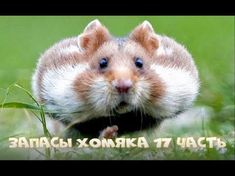 Видео: МОИ ЗАПАСЫ❤️ЧАСТЬ 17❤️ГЕЛИ ДЛЯ ДУША AVON❤️