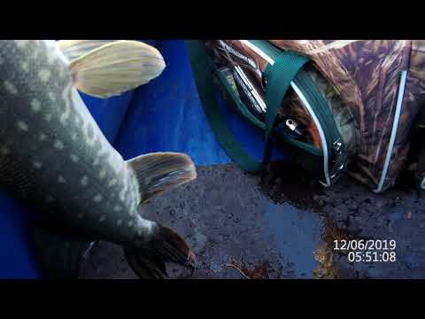 Видео: За щукой в жару. Zipbaits Khamsin 70 SR по тёплой воде