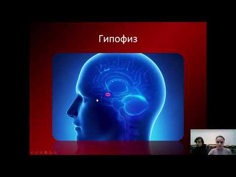 Видео: 8К Биология. «Дыхание. Органы дыхательной системы»