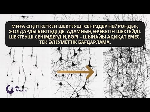 Видео: Шектеуші сенімдердің бәрі – шынайы ақиқат емес, тек әлеуметтік бағдарлама.