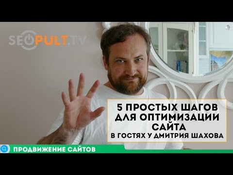 Видео: 5 простых шагов для оптимизации сайта. В гостях у Дмитрия Шахова