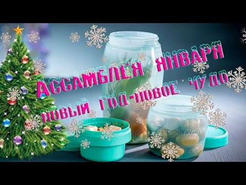 Видео: Ассамблея 2 недели (Новый год - новое чудо)