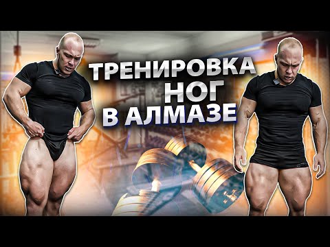 Видео: Мощная тренировка ног в Алмазе! | Переход из классик физик в 212 | Прокофьев про Криса Ацето