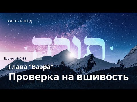 Видео: Недельная глава Ваэра. Проверка на вшивость. Шемот 8:7-18