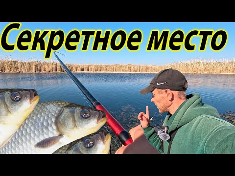 Видео: КРУПНЯК НА УДОЧКУ КАРАСИ АТАКУЮТ ТОП РЫБАЛКА НА КАРАСЯ В САРАТОВЕ #рыбалка2025 #карасьнаудочку