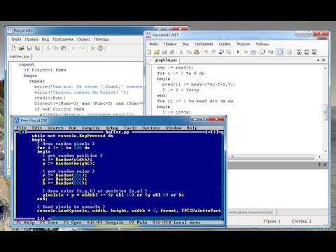 Видео: Уроки по программированию на языке Pascal. Урок 2: Введение. (2 часть)