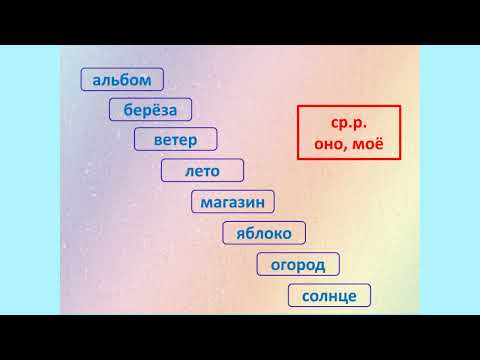 Видео: Род имён существительных  2 класс