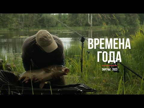 Видео: Ловля карпа в завоз. Весна. Лето. Осень. Заречье, 2023