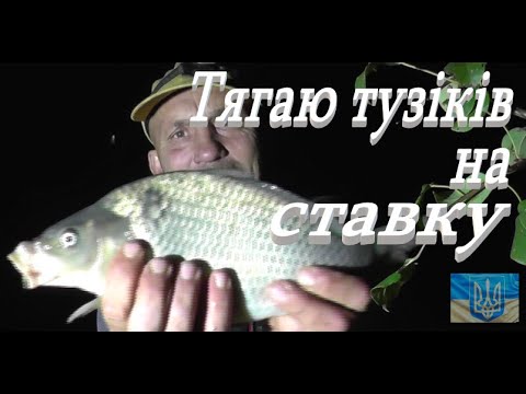 Видео: Ловлю коропа на ставку # Частина перша #РибачуЯкУмію