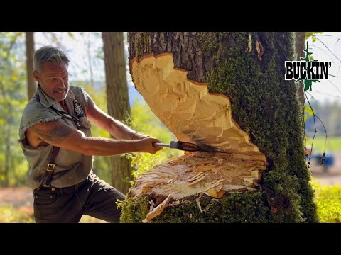 Видео: НЕ НАЧИНАЙ, ЕСЛИ НЕ СМОЖЕШЬ ДОКОНЧИТЬ, БОЛЬШОЙ ХАРДВУД