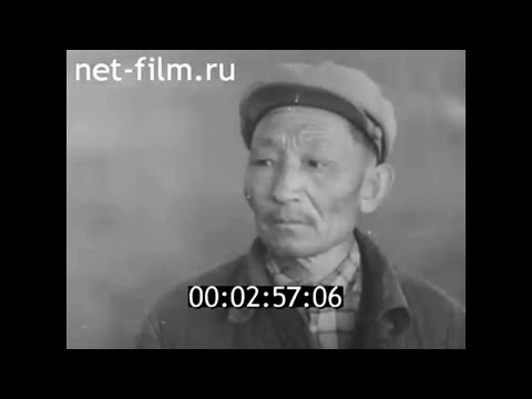 Видео: 1966г. племсовхоз Черноземельский. Калмыкия