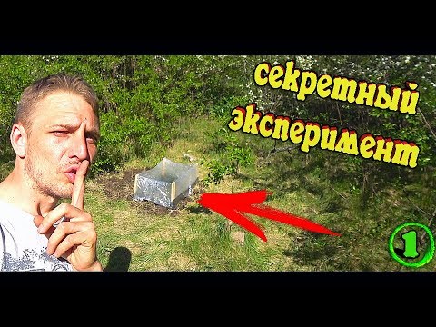 Видео: ПОСТРОИЛ ТЕПЛИЧКУ НА ЗАБРОШЕННОМ УЧАСТКЕ!!!