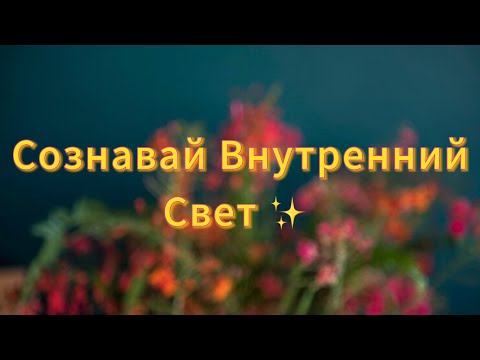 Видео: 24.10.25 Сознавай Внутренний Свет✨Ответы на вопросы 