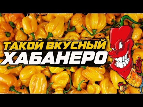 Видео: Перец Хабанеро. Сравниваем сорта по вкусу и остроте.