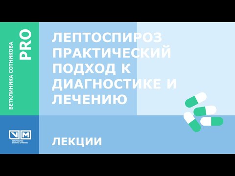 Видео: Лептоспироз  Практический подход к диагностике и лечению