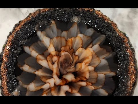 Видео: Эпоксидная смола для столешниц Love Lets Resin для 3D-цветов! #эпоксиднаясмола #искусствоизрезины...