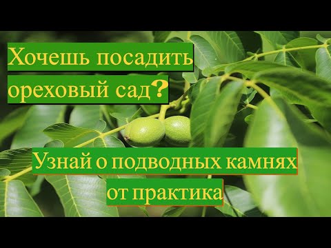 Видео: Грецкий Орех. Биоорганическая подкормка. Часть 1. №1