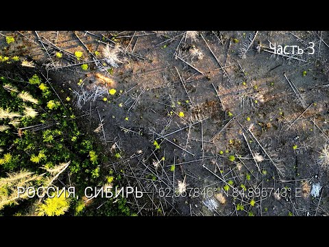 Видео: Сибирь завалило толстым слоем песка! Аномалия или тайна прошлого/В КРАЙ СТАРОВЕРОВ #3