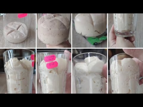 Видео: ВИВЕДЕННЯ ЗАКВАСКИ ЛЕВІТО МАДРЕ НА ПОЛУНИЦІ 2 частина