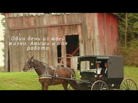 Видео: АМИШИ ‼️И МОЯ РАБОТА ‼️.