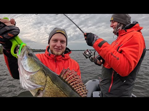 Видео: ТАКОГО КЛЁВА СУДАКА ВЫ ЕЩЁ НЕ ВИДЕЛИ! Ловля судака осенью. Рыбалка на спиннинг 2025