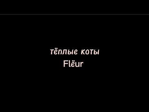 Видео: Тёплые коты-Flëur /текст песни/