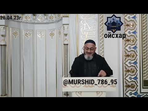Видео: ИСА ХЬАЖА ОЙСХАР! АБУБАКАР СИДИКЪЕХЬ ЛАЬЦ ХАЗ ХЬЕХАМ