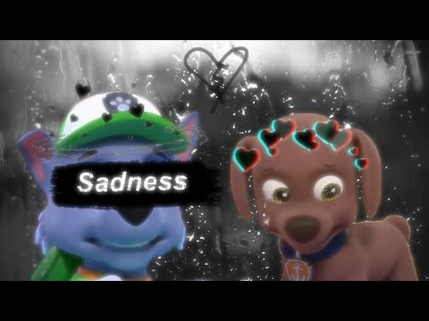 Видео: 💔👀рокки и зума я люблю тебя||заказ для: @santrifisha-zik816💔👀