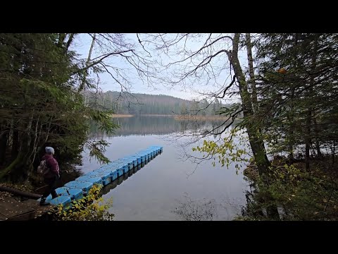 Видео: Голубые Озера🪵Лесной Трекинг в одиночку