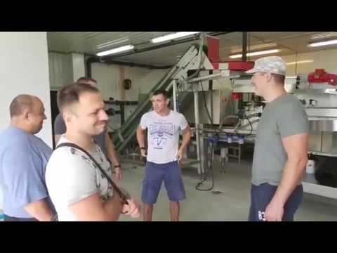 Видео: Завод в Норвегии, на котором выращивают лосося. Часть 1