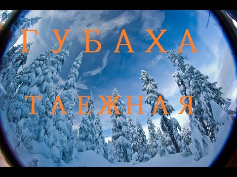 Видео: Трасса Таёжная в Губахе 2022 обзор трассы горнолыжного курорта Губаха. Gopro 9 black edition test