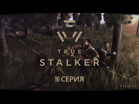 Видео: S.T.A.L.K.E.R. True Stalker #16 Озеро Янтарь
