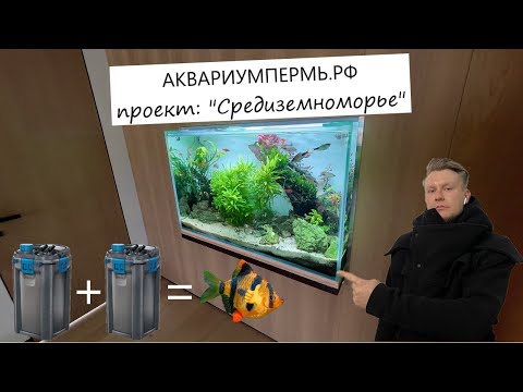 Видео: АКВАРИУМПЕРМЬ.РФ - "Средиземноморье" - настоящий аквариумный долгострой , барбусы и живые растения