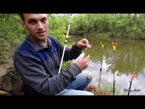 Видео: Рыбалка на сома на малой реке с донками - крокодилами 2023 #2
