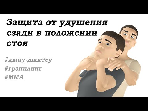 Видео: Защита от удушения 11. Удушение сзади в положении стоя. Приемы Джиу джитсу, Грэпплинг, MMA.