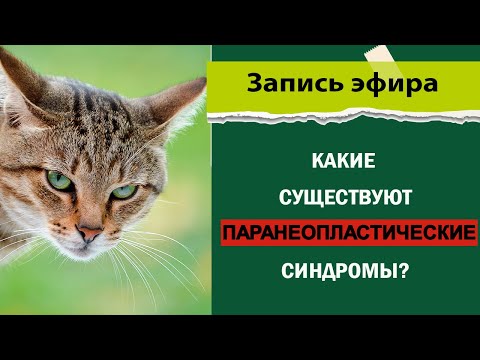 Видео: Паранеопластический синдромом
