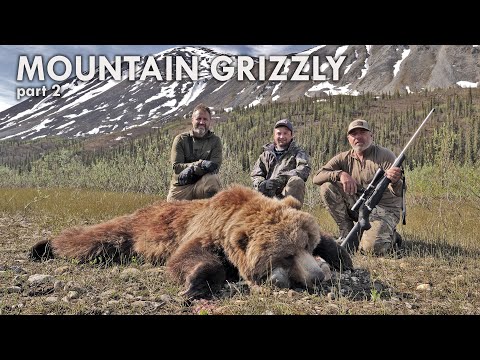 Видео: ГОРНЫЙ ГРИЗЛИ часть 2