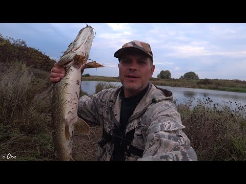 Видео: Зачетная СВЕЧА Сезона или Первый ТРОФЕЙ! ТОЛЬКО 160-е! Рыбалка на СПИННИНГ! Джиг или Твичинг!?