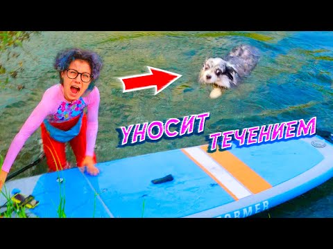 Видео: УПАЛИ В ВОДУ С СОБАКОЙ НА РЕЧКЕ! ПЕРВЫЙ РАЗ СОБАКА ПЛАВАЕТ ПО РЕКЕ С ТЕЧЕНИЕМ НА СЁРФЕ!